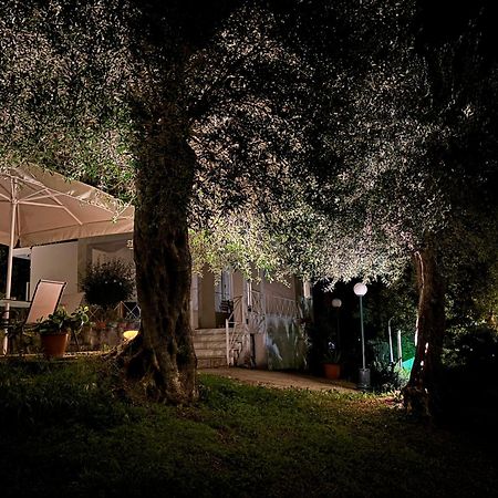 다시아 Casa Sofia 빌라 외부 사진