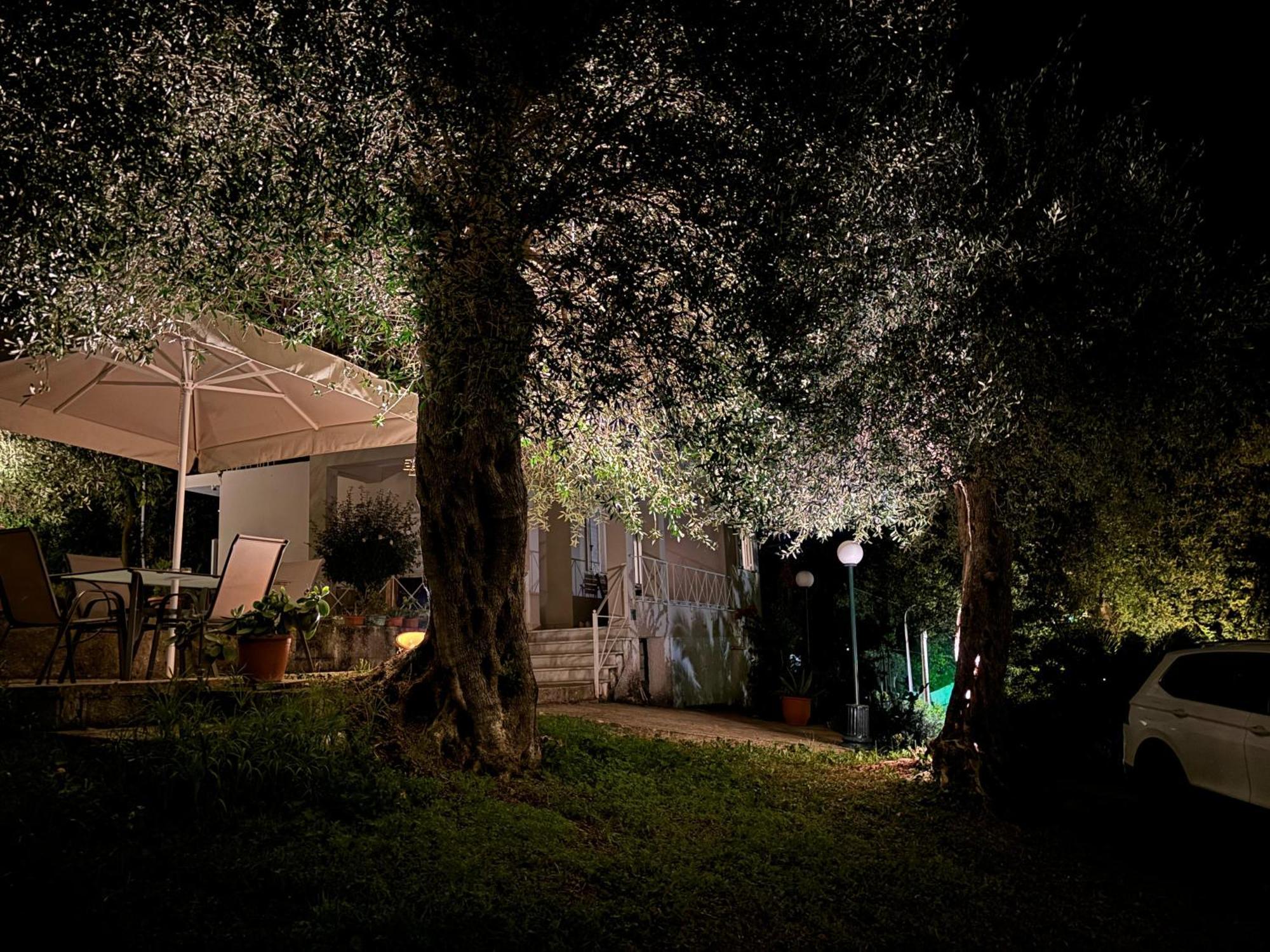 다시아 Casa Sofia 빌라 외부 사진